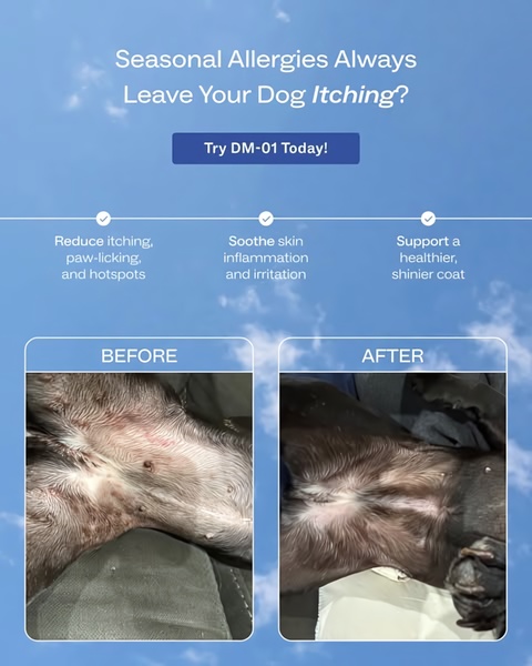 This static 4:5 ad creative highlights pet allergy improvement through a clear before-and-after visual comparison, supported by benefit-focused bullet points.